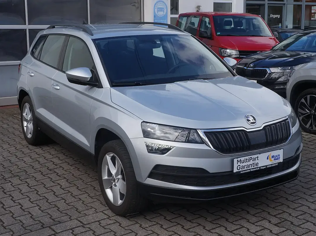 Skoda Karoq - Thumbnail 4
