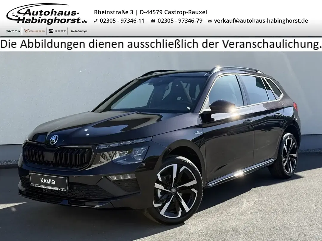 Skoda Kamiq - Thumbnail 1