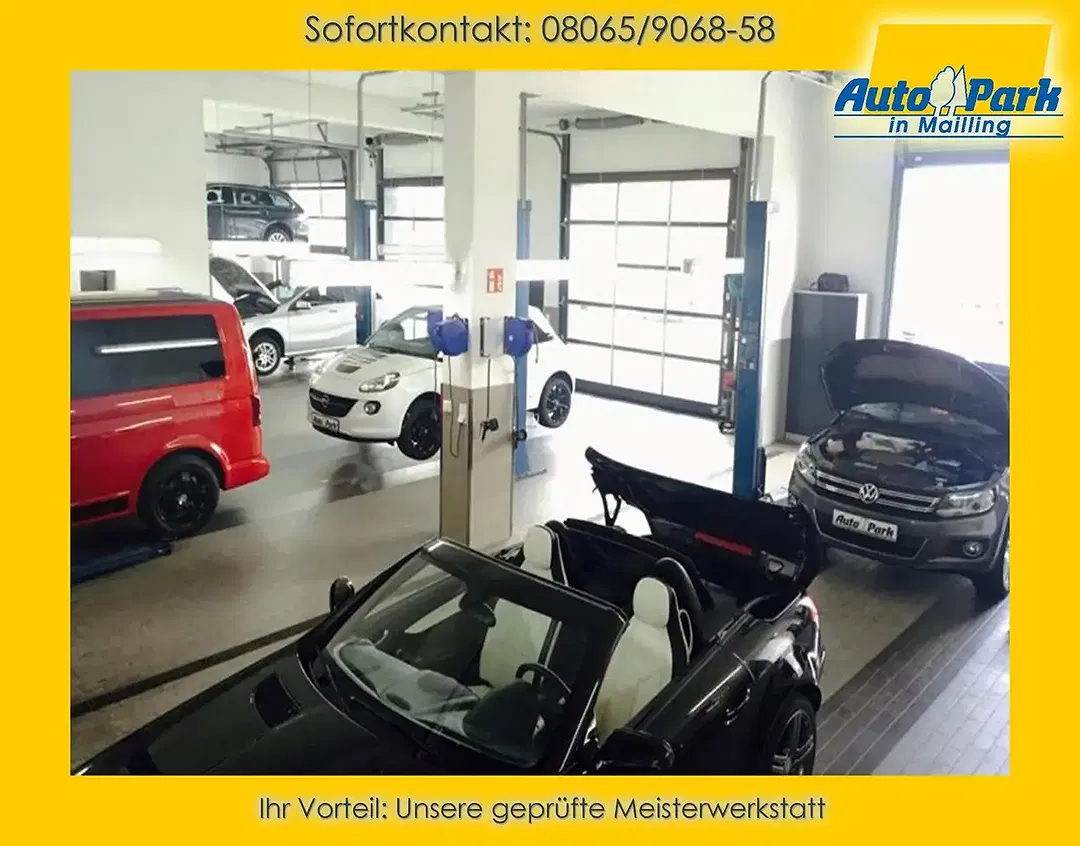 Skoda Octavia - Thumbnail 16