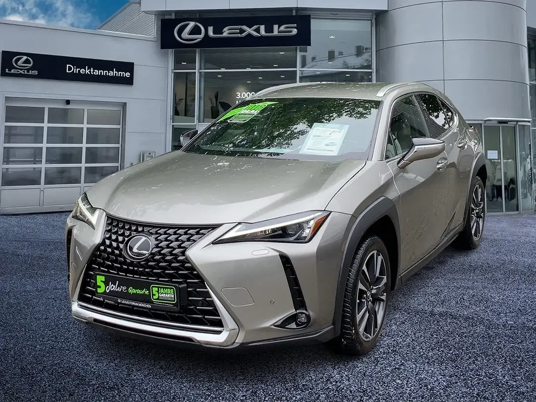 Lexus UX 250h - Afbeelding 1