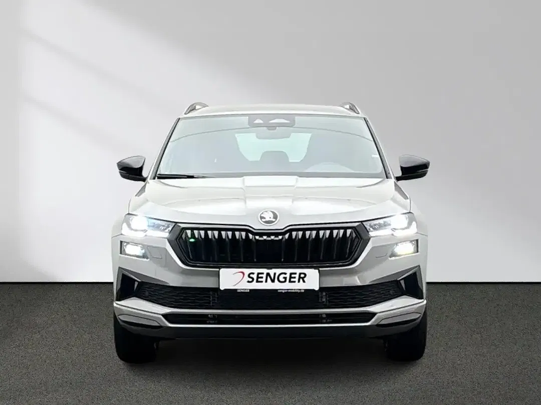 Skoda Karoq - Thumbnail 3