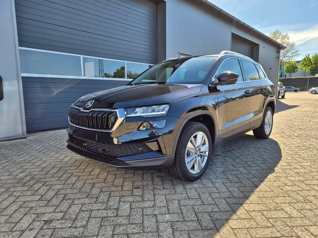 Skoda Karoq - Thumbnail 1