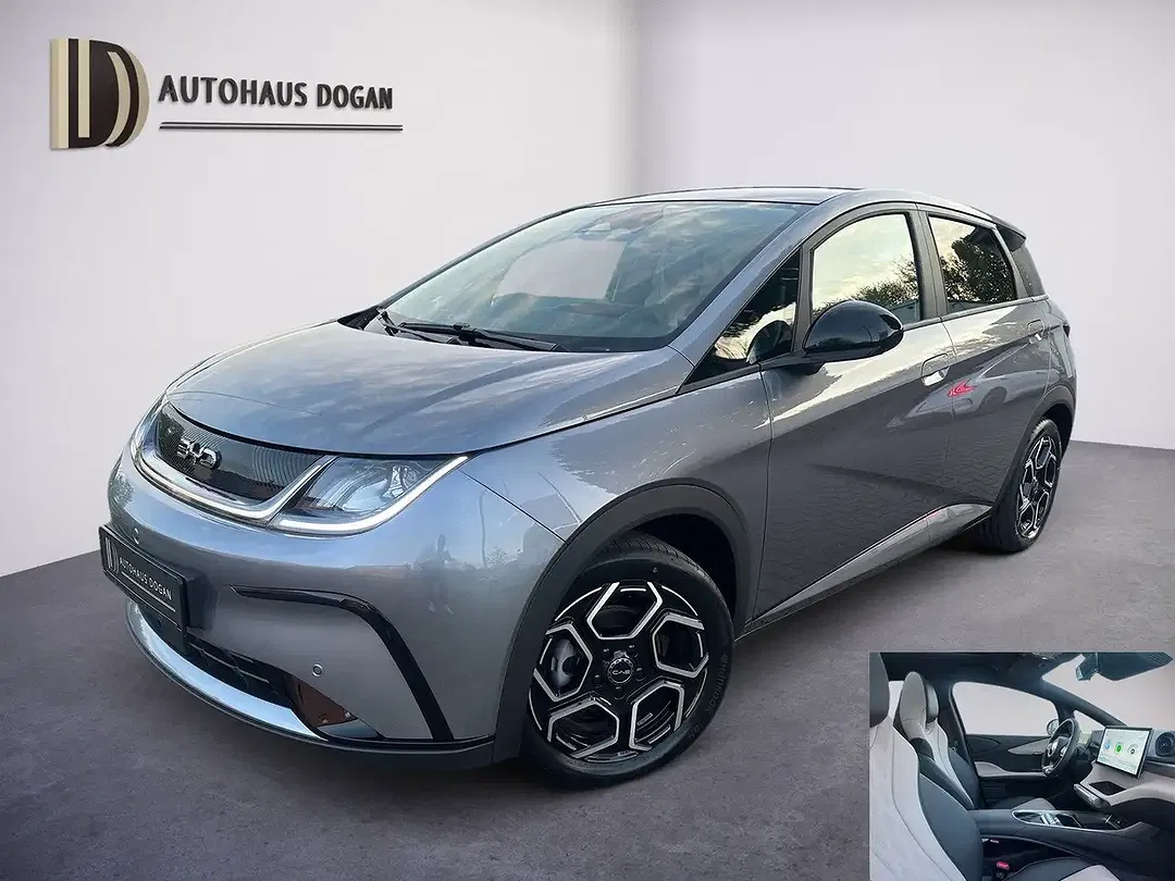 BYD Dolphin Design - foto 1