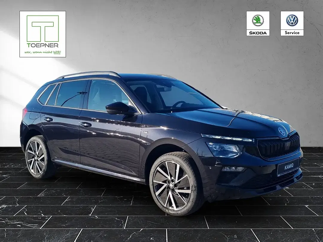 Skoda Kamiq - Thumbnail 8