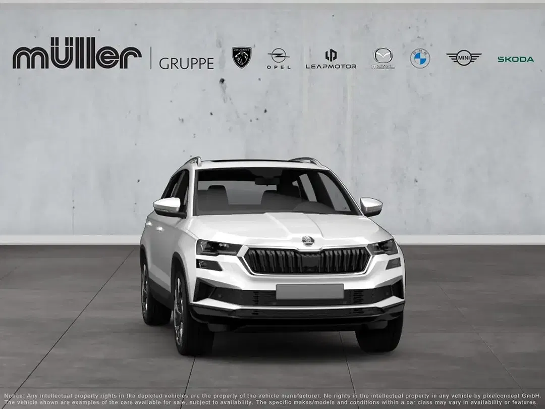 Skoda Karoq - Thumbnail 8
