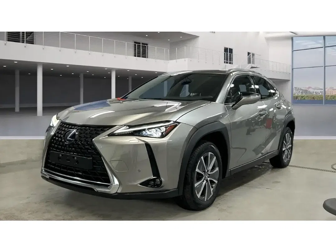 Lexus UX 300e - Afbeelding 1