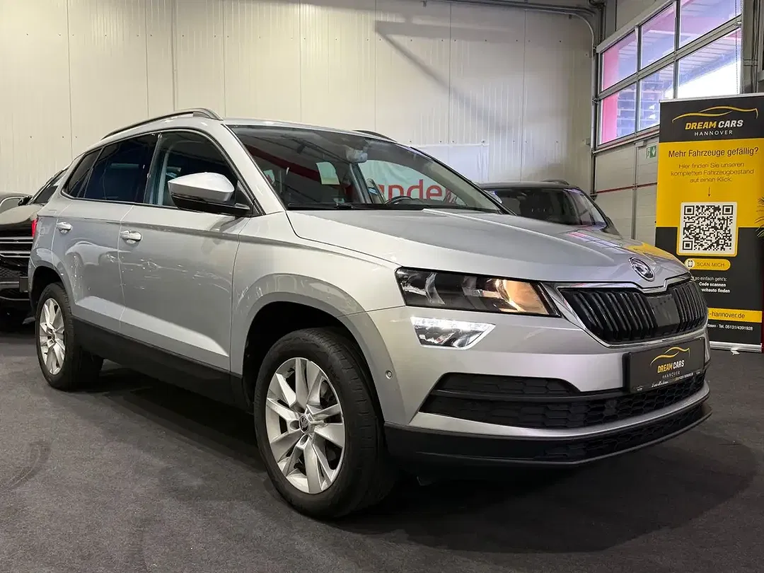 Skoda Karoq - Thumbnail 11