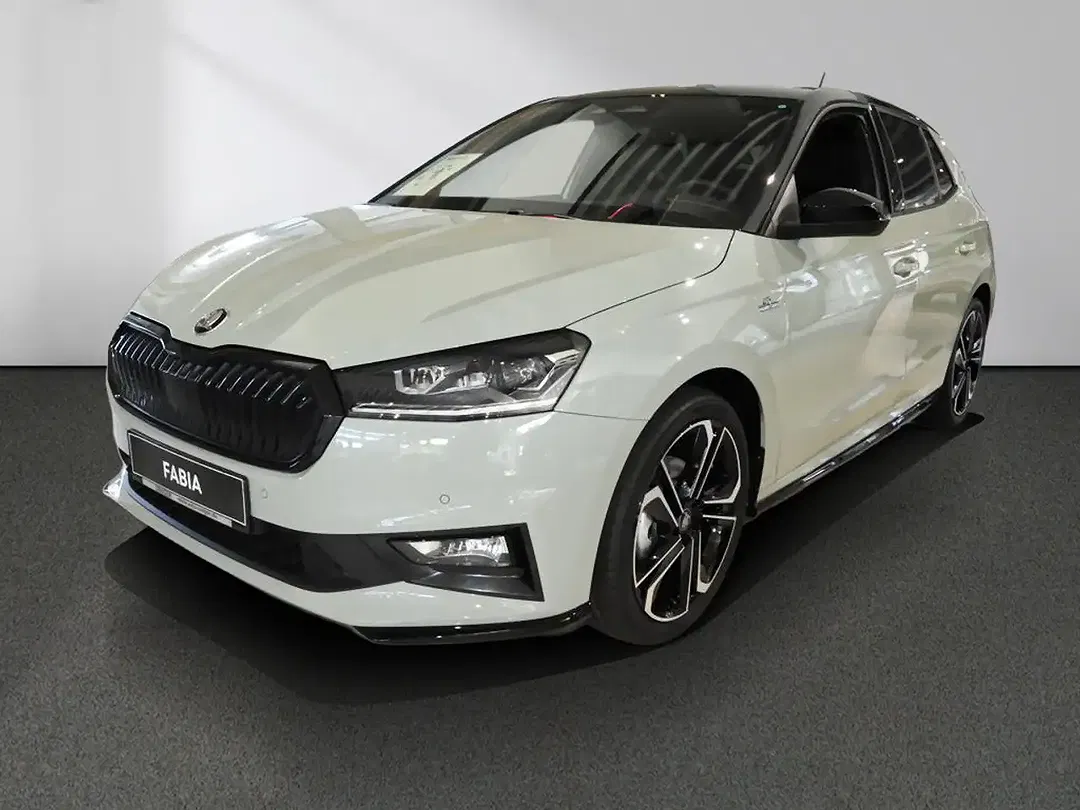 Skoda Fabia - Thumbnail 12