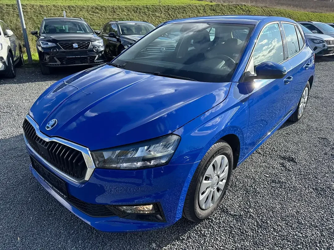 Skoda Fabia - Afbeelding 1