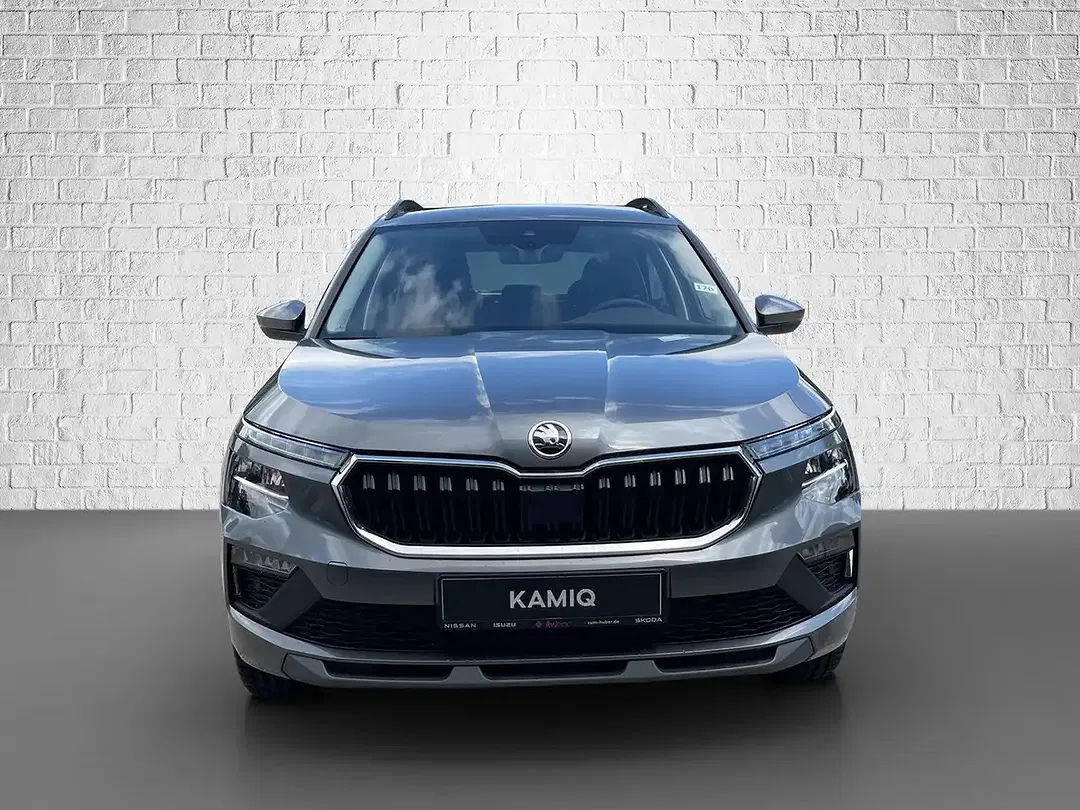 Skoda Kamiq - Thumbnail 8