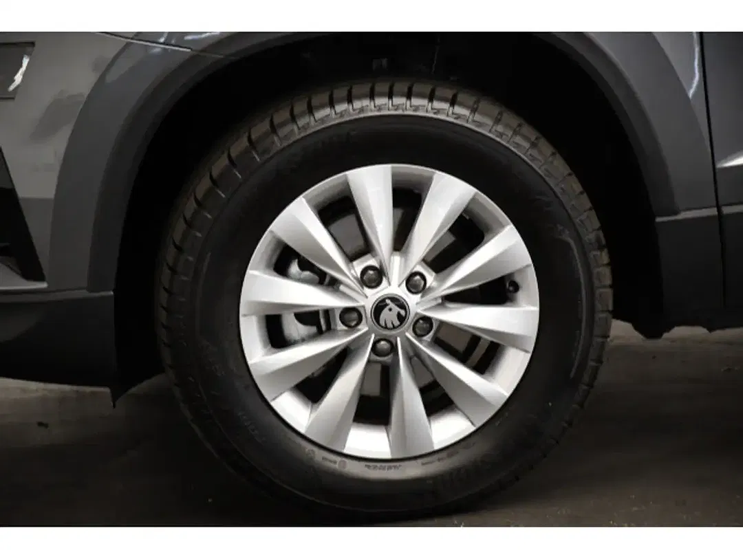 Skoda Karoq - Thumbnail 13
