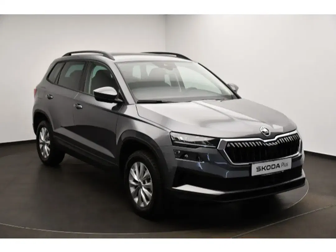 Skoda Karoq - Thumbnail 14
