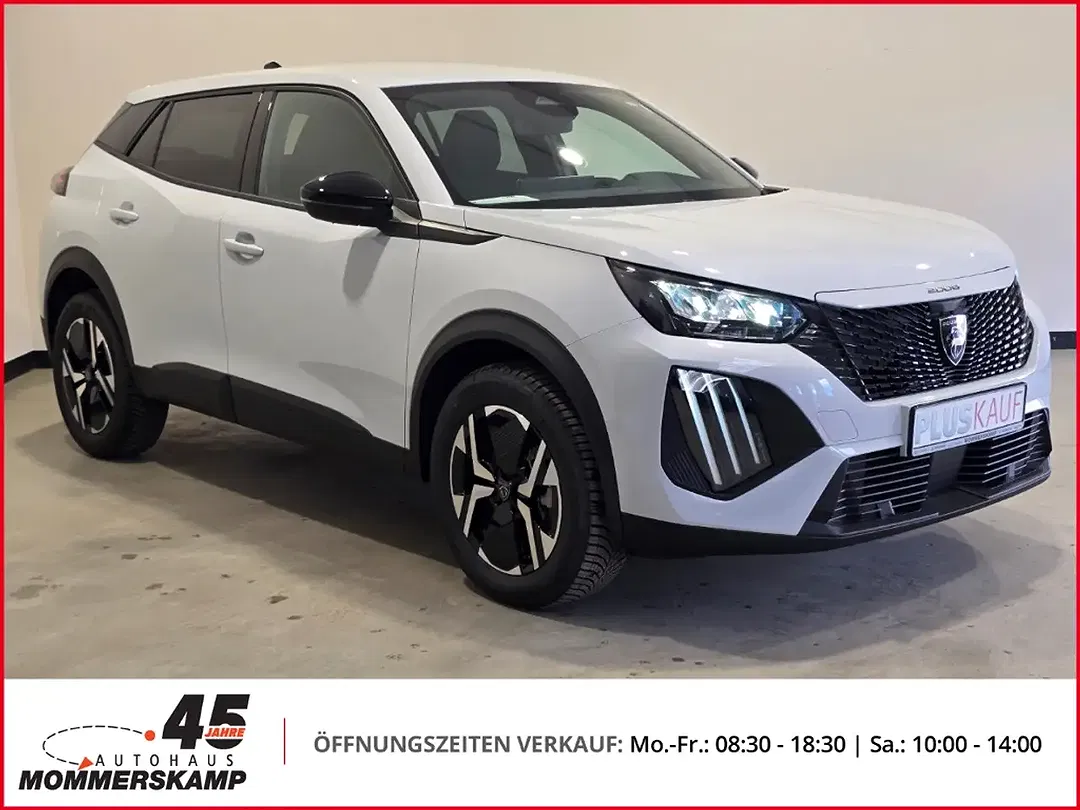Peugeot 2008 - Thumbnail 3