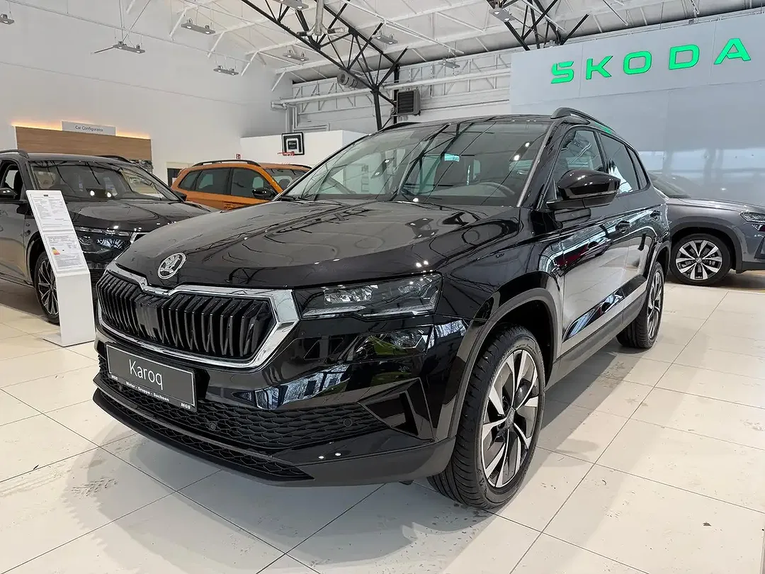 Skoda Karoq - Thumbnail 13