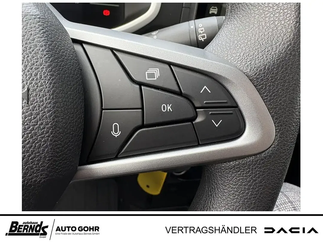 Dacia Spring - Thumbnail 11