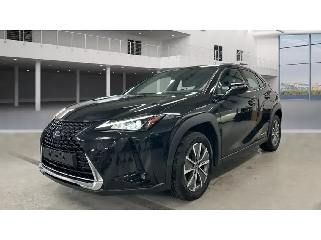 Lexus UX 300e - Afbeelding 1