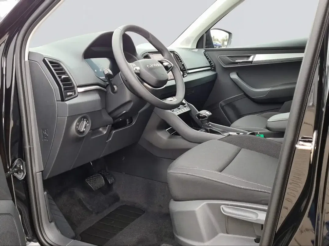 Skoda Karoq - Thumbnail 14