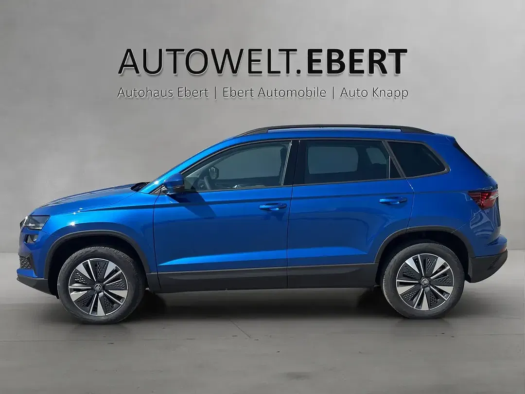 Skoda Karoq - Thumbnail 2