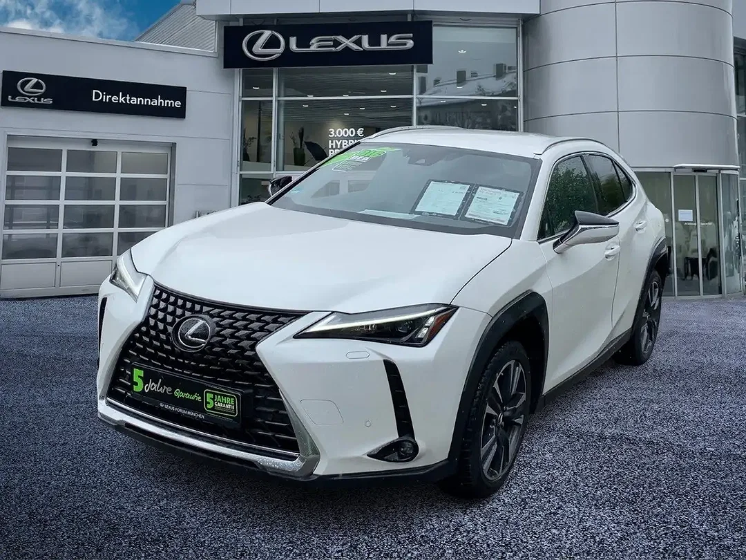 Lexus UX 250h - Afbeelding 1