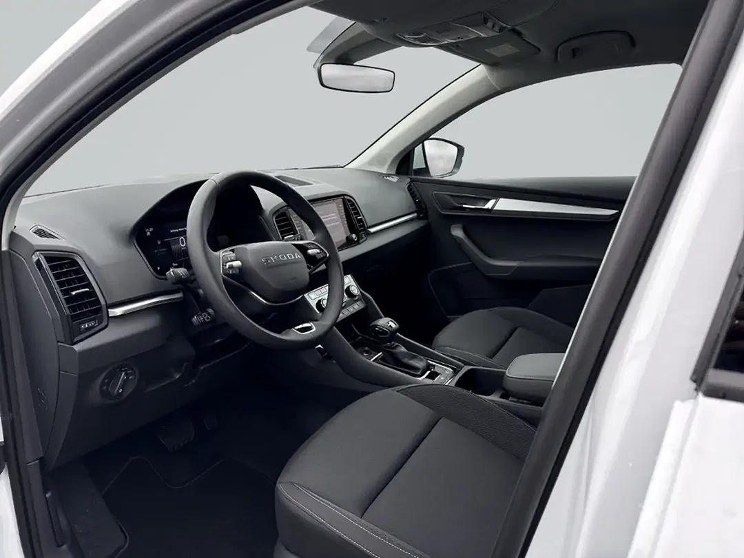 Skoda Karoq - Thumbnail 12