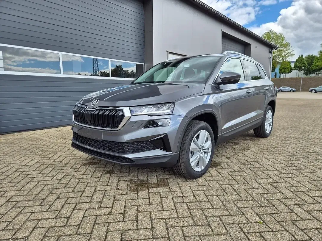 Skoda Karoq - Thumbnail 1