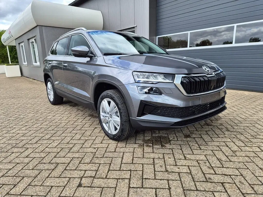 Skoda Karoq - Thumbnail 7
