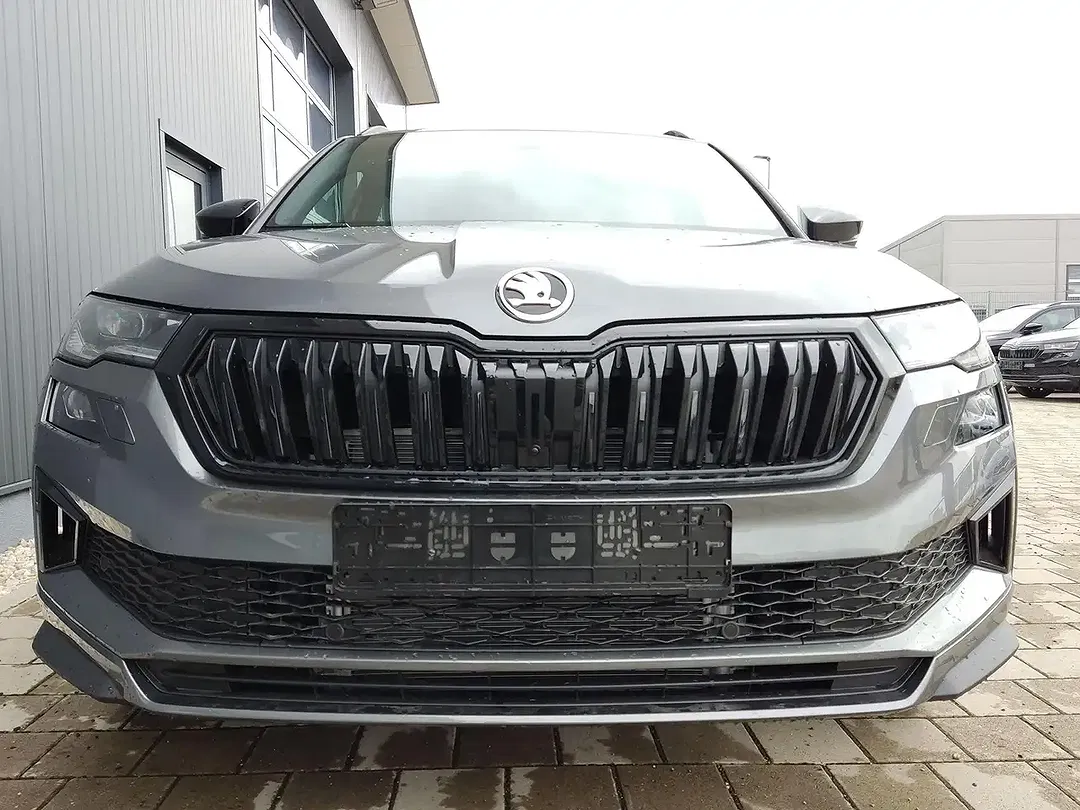 Skoda Karoq - Thumbnail 15