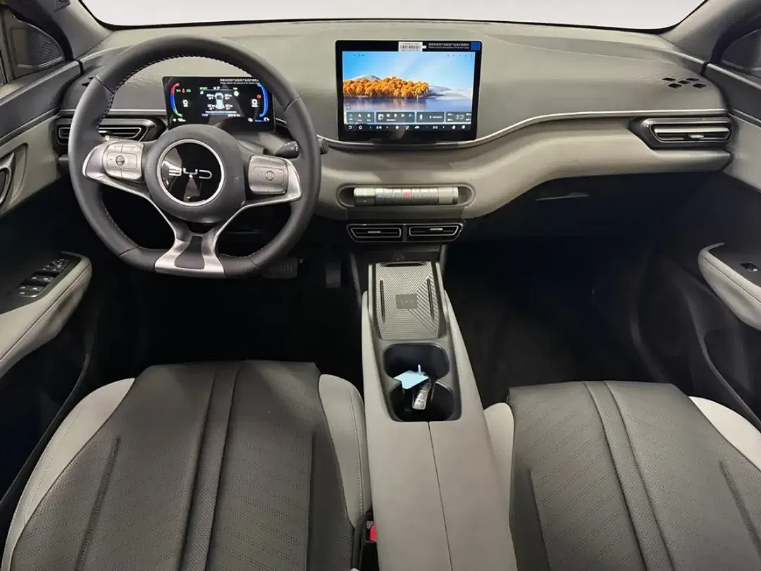 BYD Dolphin - Thumbnail 12